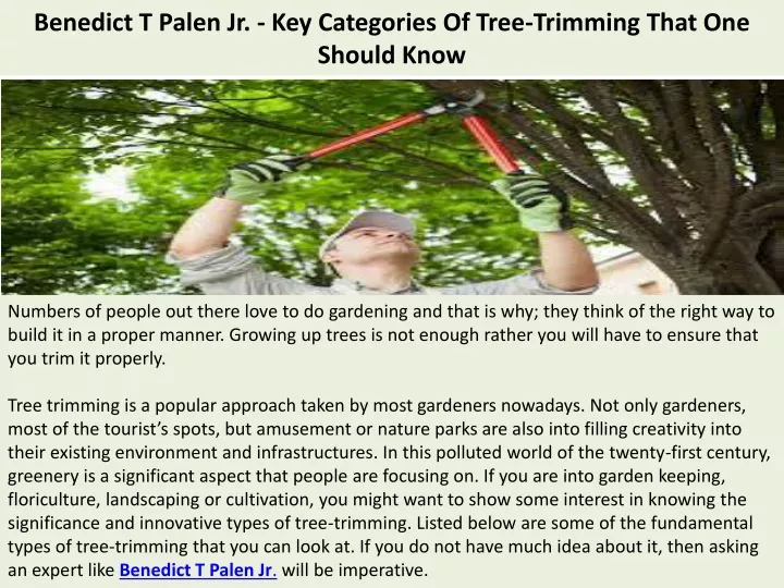 benedict t palen jr key categories of tree trimming that one should know