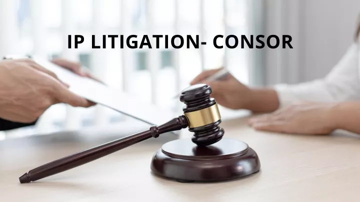 ip litigation consor
