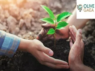 Carbon Offset Program