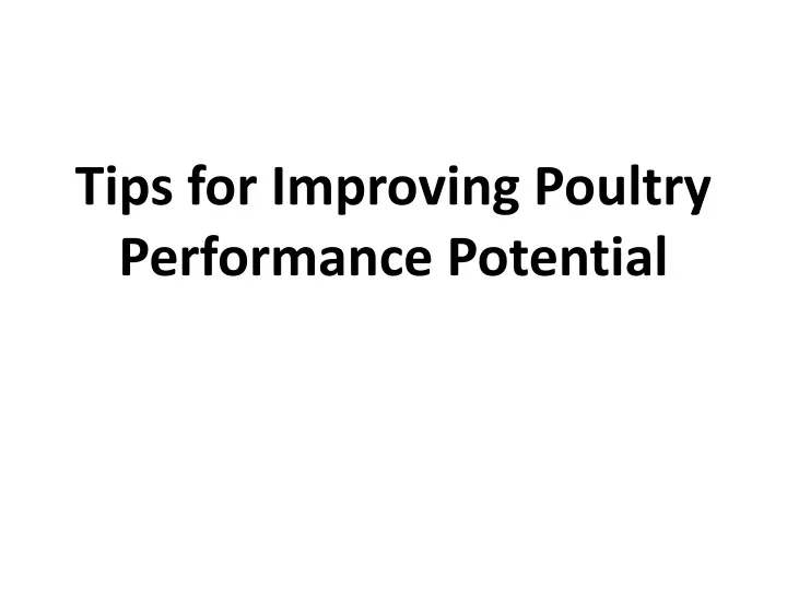 tips for improving poultry performance potential