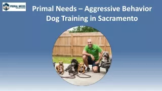 Primal Needs - Aggressive Behavior Dog Training in Sacramento