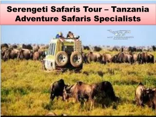 Serengeti Safaris Tour – Tanzania Adventure Safaris Specialists