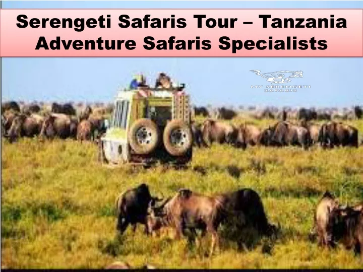serengeti safaris tour tanzania adventure safaris
