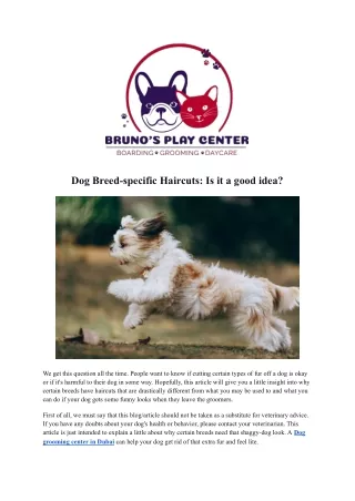 Dog Grooming Center In Dubai