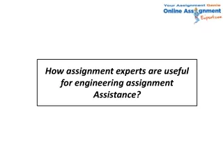 how assignment experts are useful for engineering