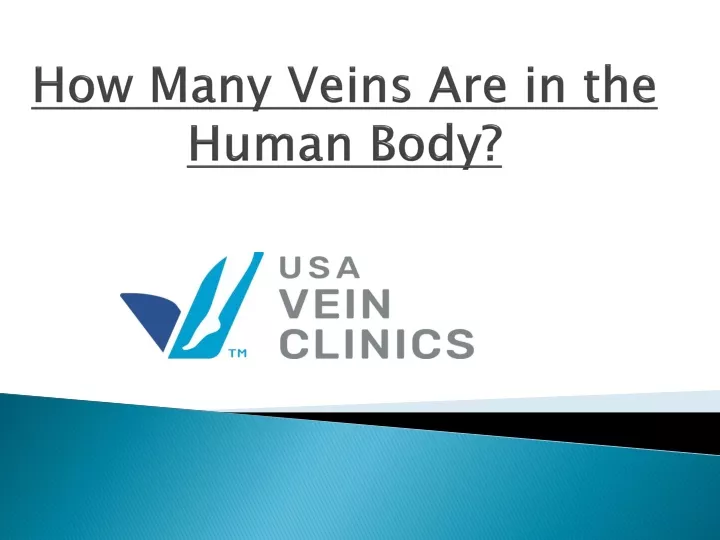how many veins are in the human body