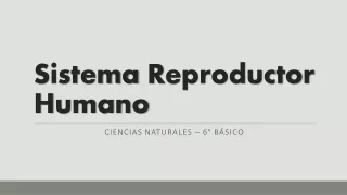 Sistema reproductor humano