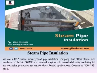Steam Pipe Insulation