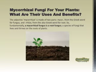 Mycorrhizal Fungi For Your Plants: What Are Their Benefits?