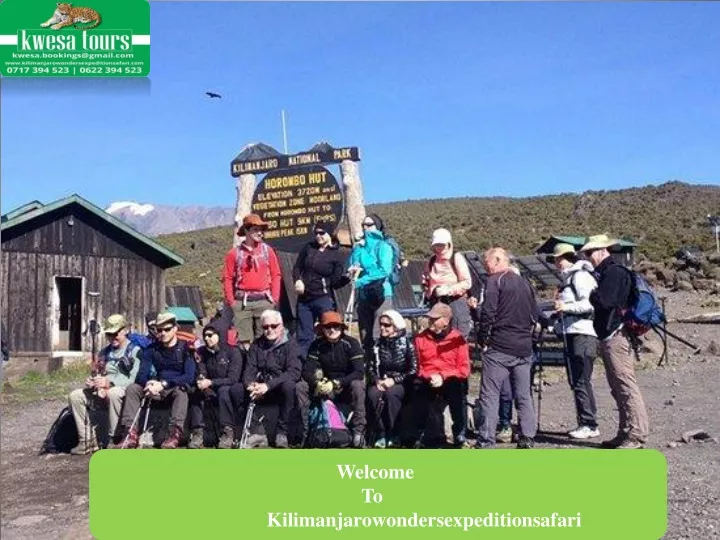 welcome to kilimanjarowondersexpeditionsafari