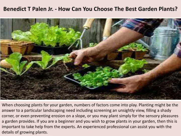 benedict t palen jr how can you choose the best garden plants