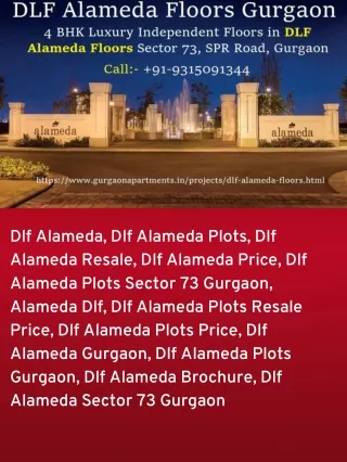 DLF Alameda Floors Gurgaon Price & Size