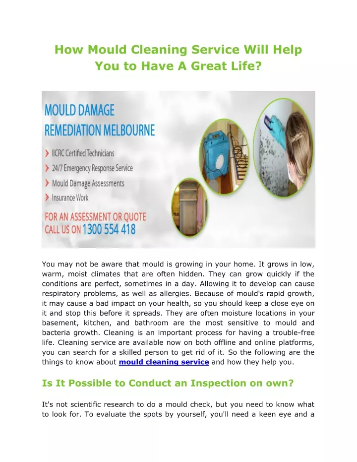 how mould cleaning service will help you to have