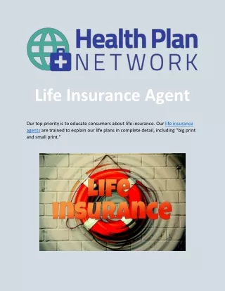 Life Insurance Agent