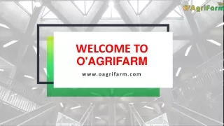 Obtain  the Latest trend in Price commodity |O'AgriFarm