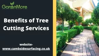 Benefits of Tree Cutting Services