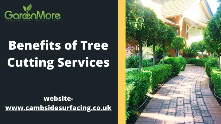 benefits of tree cutting services