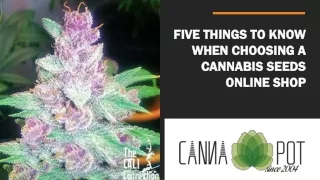 five things to know when choosing a cannabis