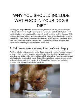 WHY YOU SHOULD INCLUDE WET FOOD IN YOUR DOG’S DIET