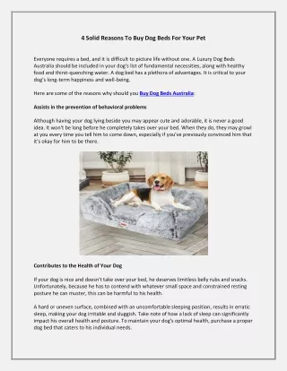 4 Solid Reasons To Buy Dog Beds For Your Pet