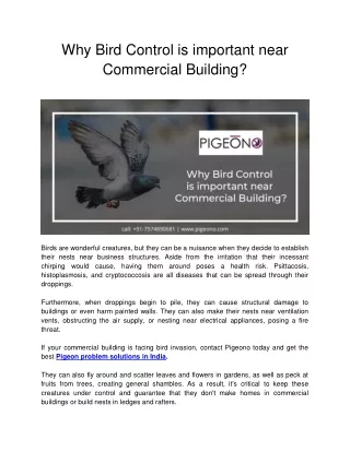 Why Bird Control is important near Commercial Building