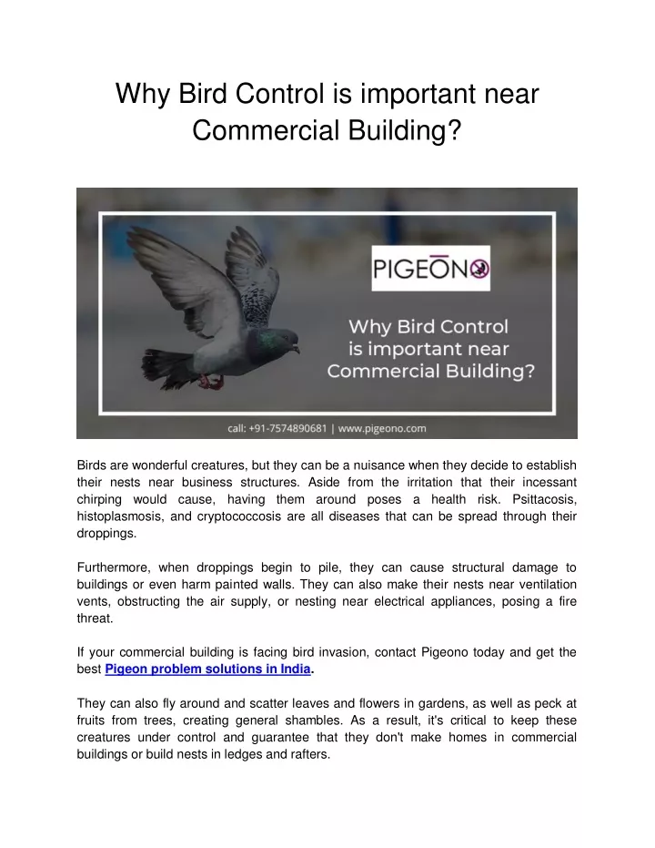 why bird control is important near commercial