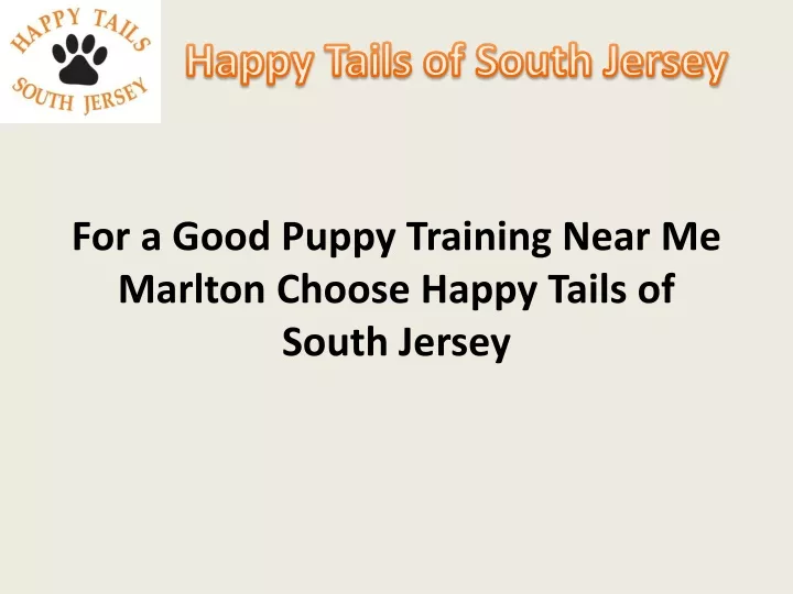 for a good puppy training near me marlton choose happy tails of south jersey