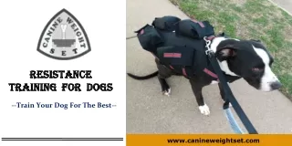 Resistance training for dogs