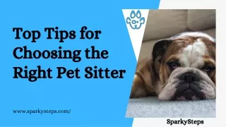 top tips for choosing the right pet sitter