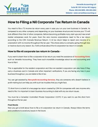 How to Filing a Nil Corporate Tax Return in Canada