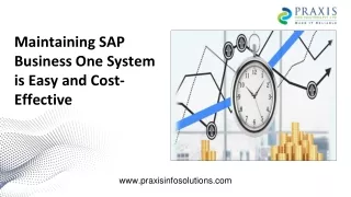 maintaining sap business one system is easy