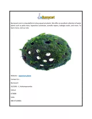 Aquarium Plants  Bunnycart.com