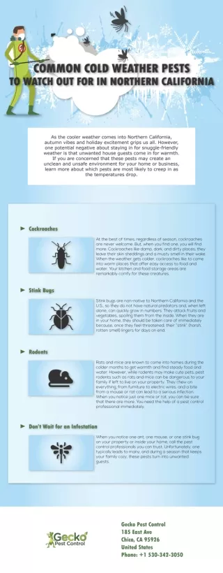 Common Cold Weather Pests to Watch Out For in Northern California