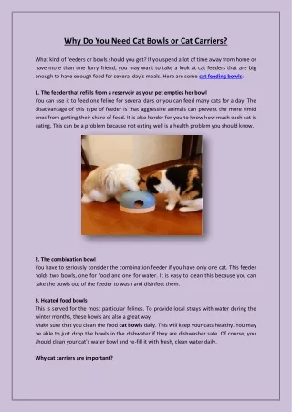 Why_Do_You_Need_Cat_Bowls_or_Cat_Carriers