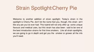 Strain Spotlight Cherry Pie