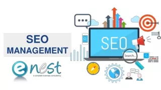 seo management