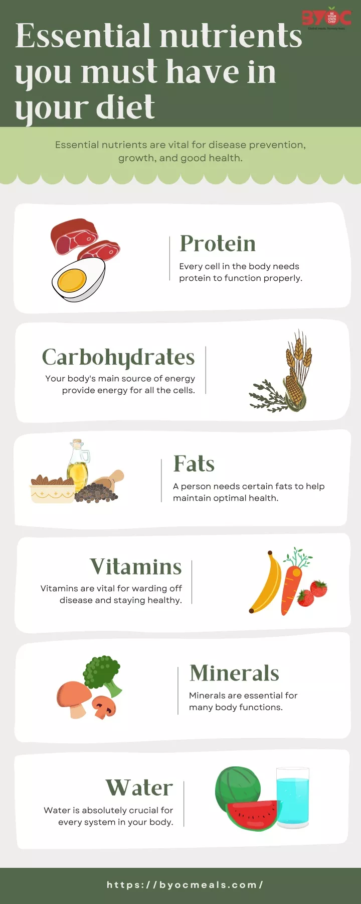 essential nutrients you must have in your diet