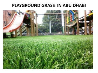 playground grass in abu dhabi