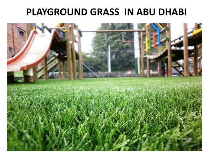 playground grass in abu dhabi