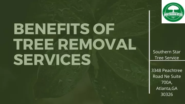 benefits of tree removal services