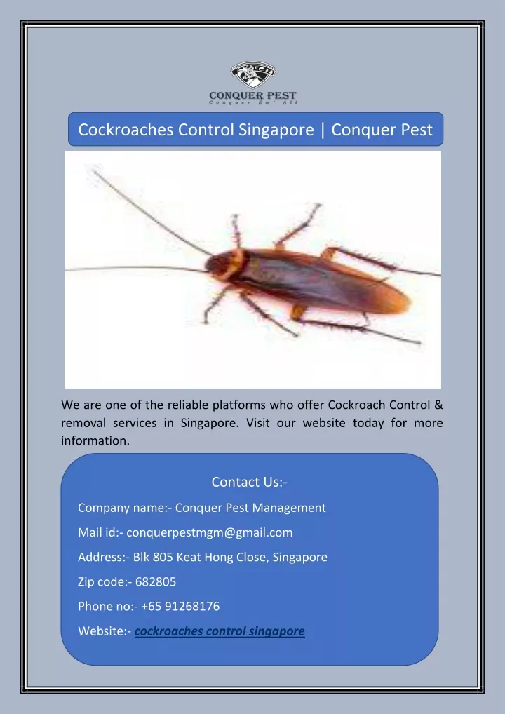 cockroaches control singapore conquer pest