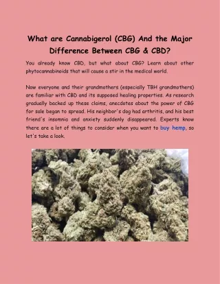 What are Cannabigerol (CBG) And the Major Difference Between CBG & CBD