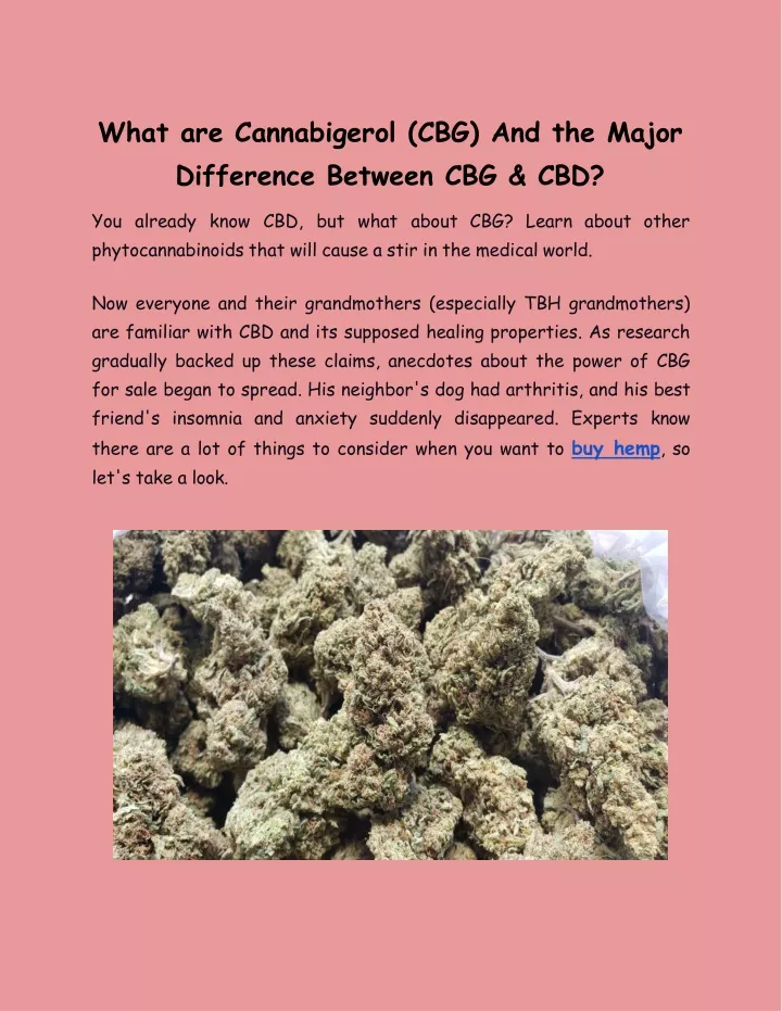 what are cannabigerol cbg and the major