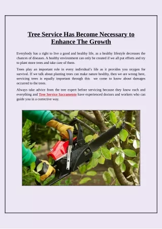 tree service has become necessary to enhance