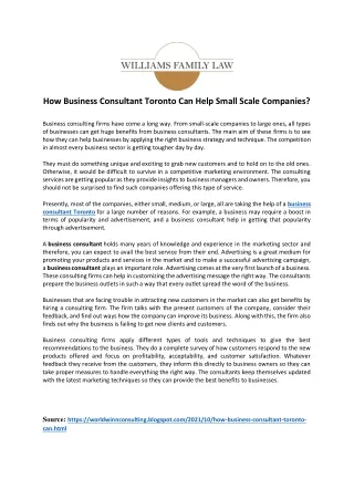How Business Consultant Toronto Can Help Small Scale Companies