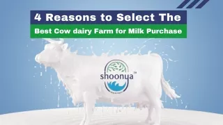 4 Reasons to Select the Best Cow dairy Farm for Milk Purchase