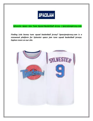 sylvester space jam tune squad basketball jersey