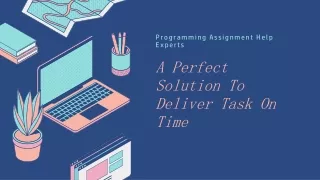 programming assignment help experts