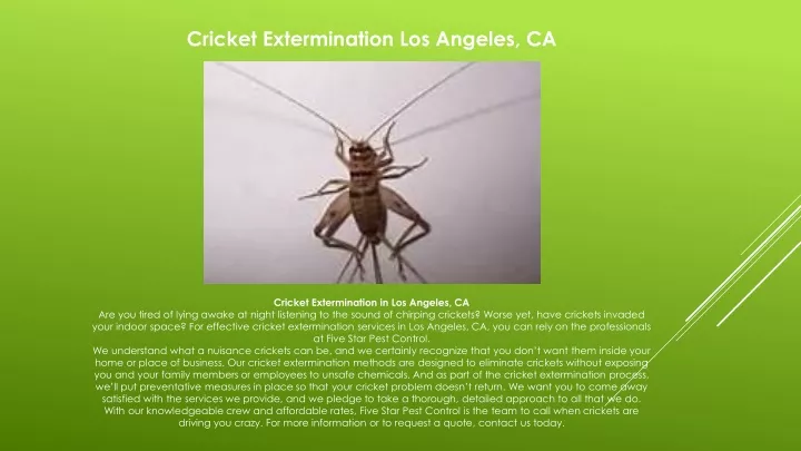 cricket extermination los angeles ca