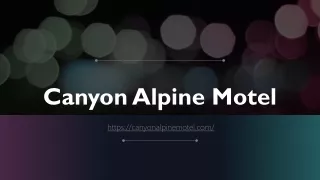 Things That Separate Canyon Alpine Motel Boston From the Rest